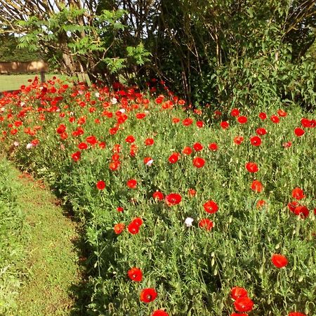 Chabris La Pause - Val De Loire Bed & Breakfast エクステリア 写真