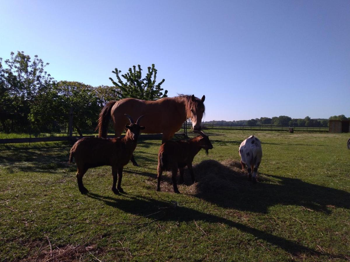 Chabris La Pause - Val De Loire Bed & Breakfast エクステリア 写真