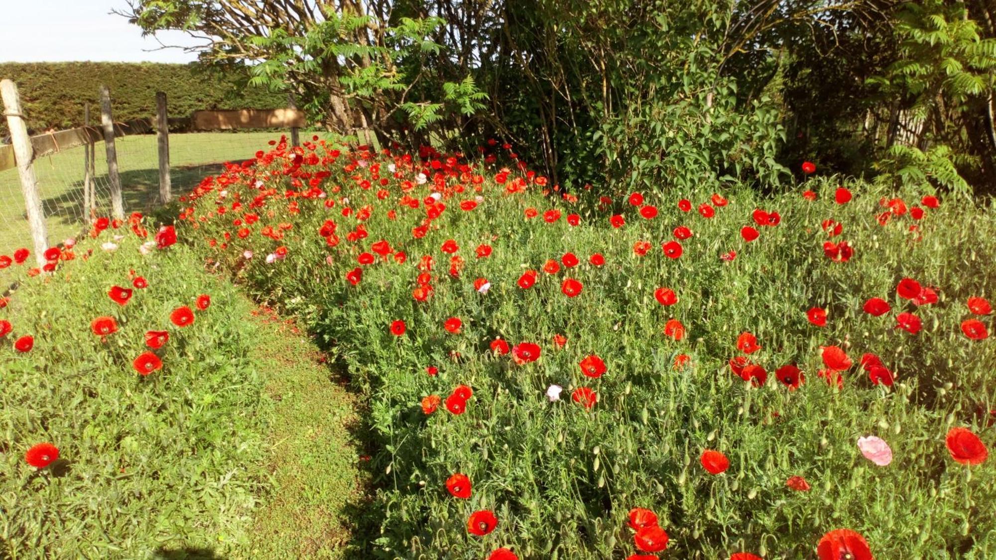 Chabris La Pause - Val De Loire Bed & Breakfast エクステリア 写真