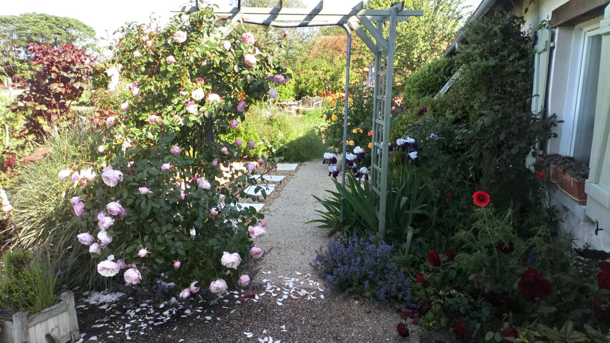 Chabris La Pause - Val De Loire Bed & Breakfast エクステリア 写真